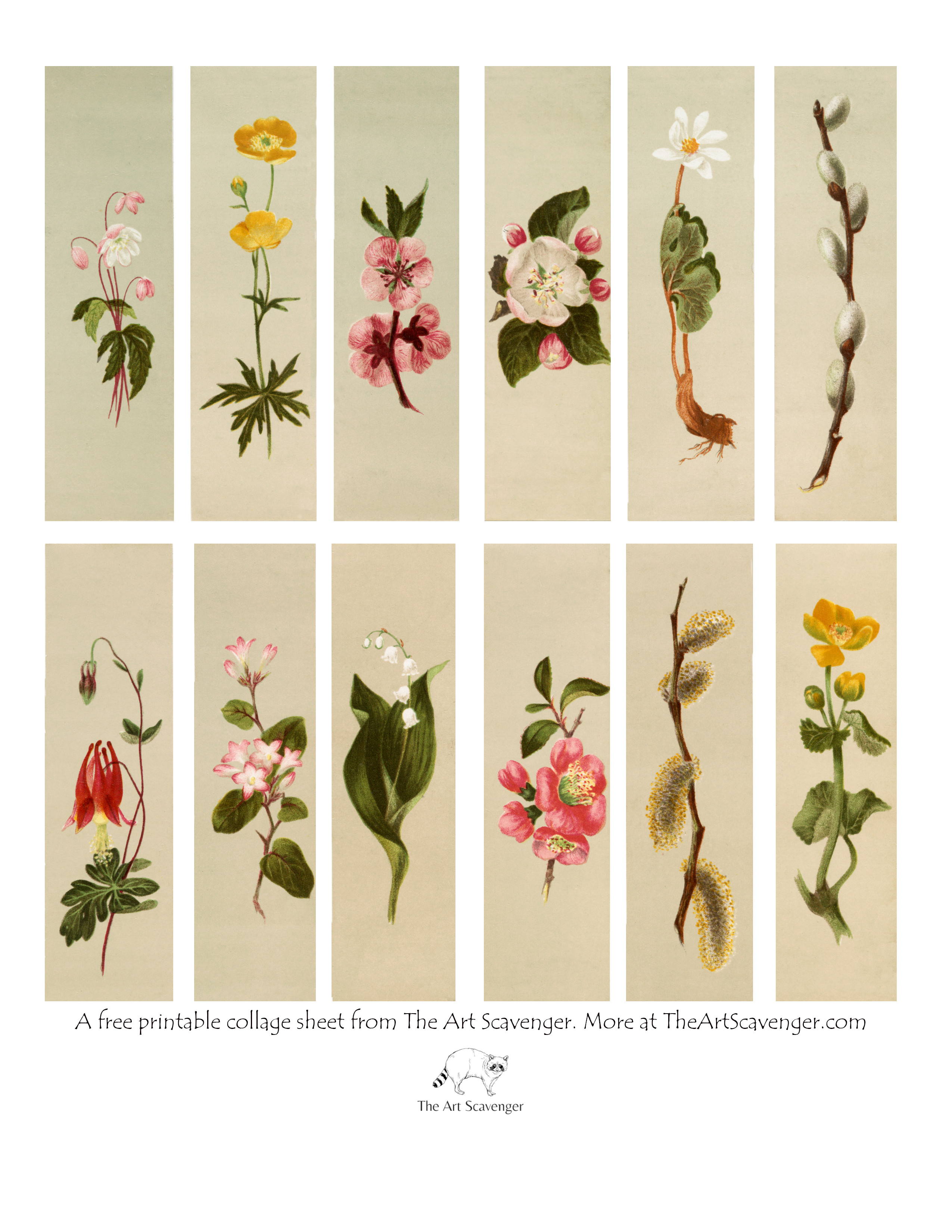Free Printable Flower Collage Sheet — The Art Scavenger